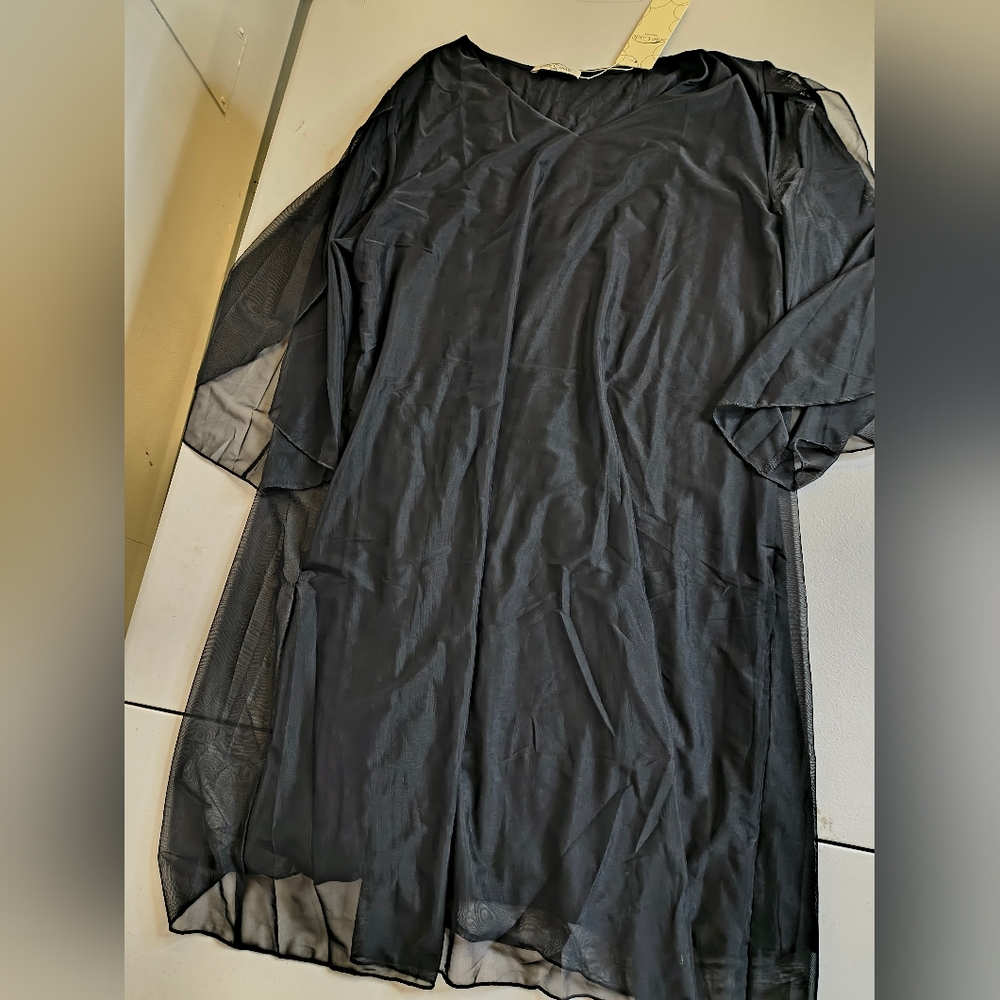 Elegant Black Sheer Dress
